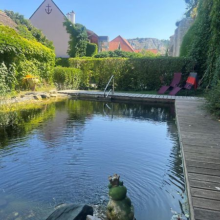 Gasthof Zum Goldenen Anker 多瑙河畔海恩堡 外观 照片