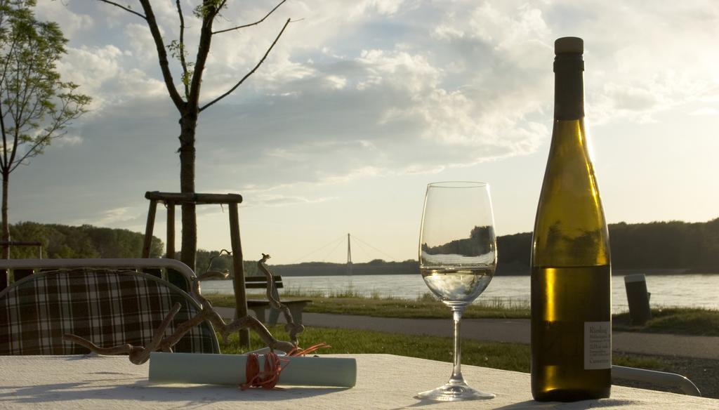 Gasthof Zum Goldenen Anker 多瑙河畔海恩堡 外观 照片
