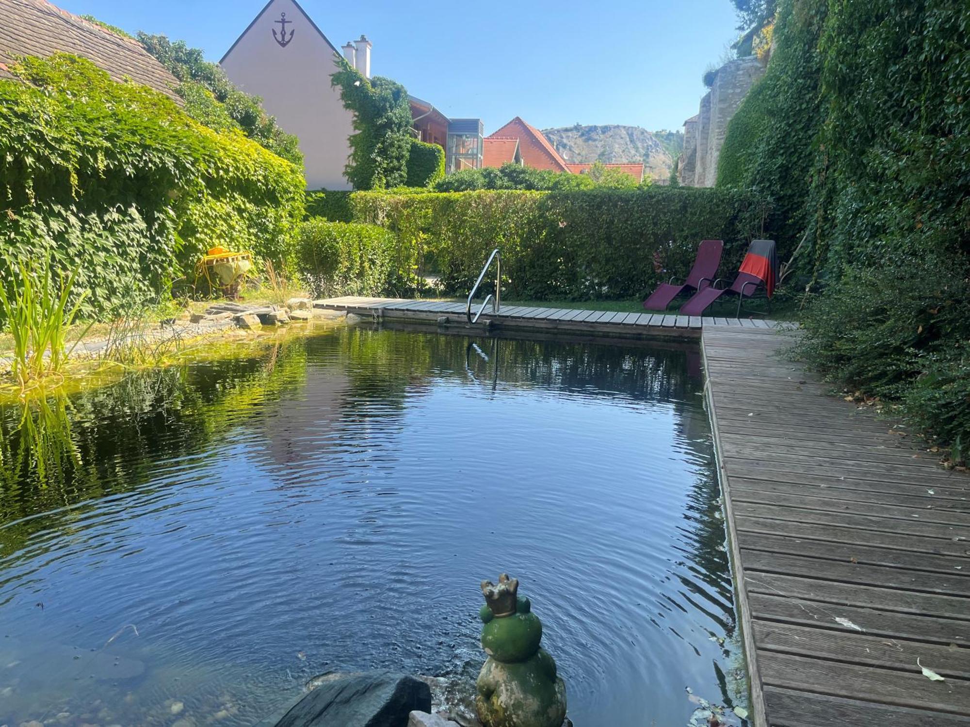 Gasthof Zum Goldenen Anker 多瑙河畔海恩堡 外观 照片
